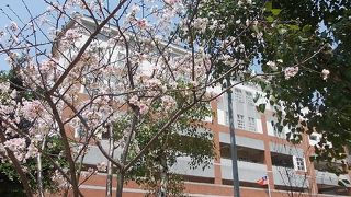 大龍国小でございます