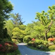 小涌谷のツツジ・紅葉の名所