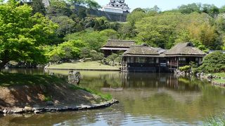 彦根城を撮影するならここ！