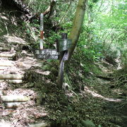 千条の滝から浅間山・宮ノ下に抜ける自然歩道