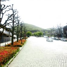 広々としているのは基坂。正面は函館山