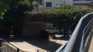 公園と公園をつなぐ橋