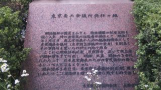 植え込みにあり、よく探さないと見つかりません