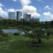 旧芝離宮恩賜庭園の池にあります