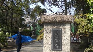 桜が綺麗でした