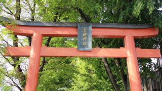 綺麗すぎるオシャレな神社