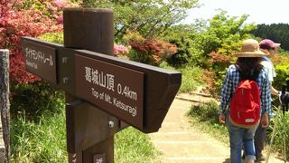 つつじの次に狙うはPL花火芸術か