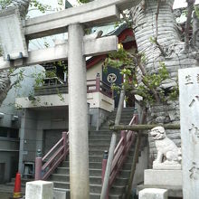 鳥居の両側にイチョウの木が並んでます。