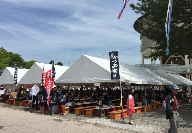 中土佐町かつお祭り