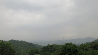 茶畑でトレッキング