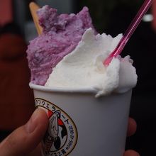 ダブルのカップ