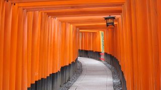 たくさん連なる鳥居は圧巻！