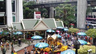 狭い敷地が大賑わい