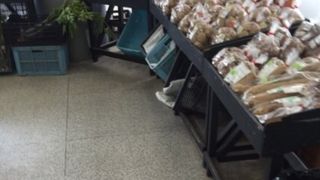 細川たかしオシ。