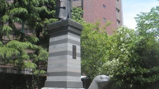 亀の甲羅に乗った