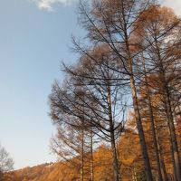 早朝の散歩が気持ち良い