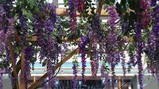 イベントやってました