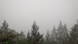 キタマーニ高原