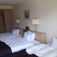 明るくていいですね