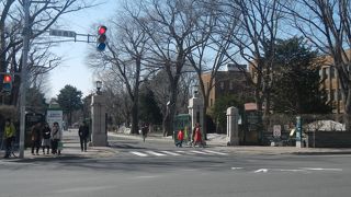 見どころがたくさんある