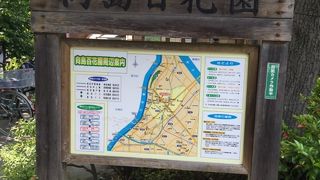 今の時期は(>_<)