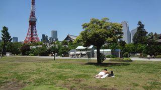 天気が良かったので散策