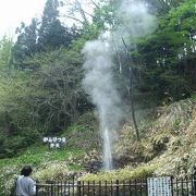 豪快な鬼首間欠泉「弁天」