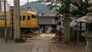境内を電車が横切る