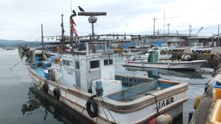 高級魚「氷見ブリ」で有名な氷見漁港ですが、案外こじんまりしてました