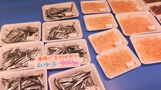 割合人の少ない氷見のスポットにあって、異質な混雑場所