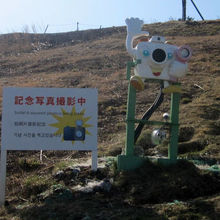 記念撮影してくれるカメラがかわいい。