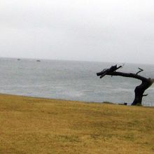 龍の形の被災松