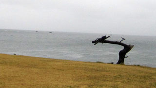 横綱第9代秀の山雷五郎がかっこいい！