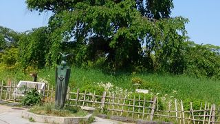八坂神社の続きに