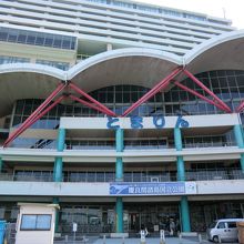 慶良間航路のターミナルです。