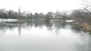 すすきのの南にある広い公園