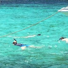 休憩時間にひと泳ぎ