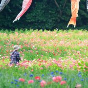 お花にアーチュリーに低価格で丸一日遊ぶ事が出来ます