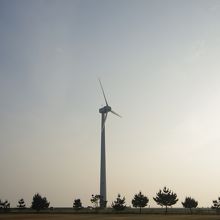 海岸に面した風雨者の様子。