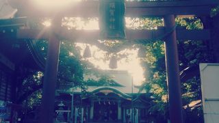 小さな森のような神社です