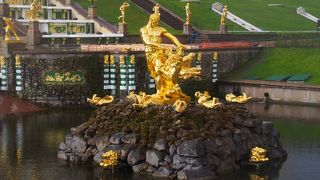 黄金に輝くサムソンの雄姿