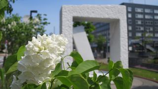 白花のライラックの隣で