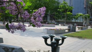 水の出ない水飲み