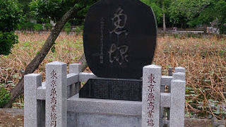 弁天堂周辺にある様々な供養碑の一つ