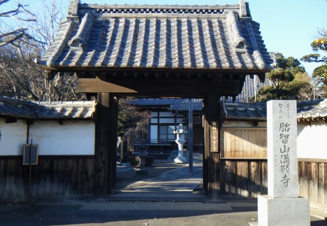 シダレザクラが有名です。