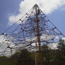 てっぺんは気持ちがいいらしい