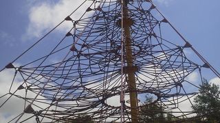 広くて遊びきれない!