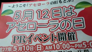国内では珍しい果物アセロラがあります