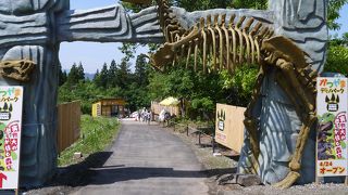 野外発掘体験で化石ゲット