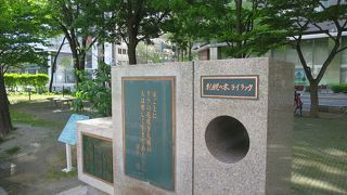 日陰に隠れて目立たない